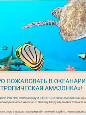 Товар категории