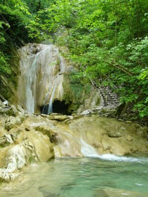 Товар категории