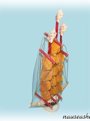 Парусник трапезиум / макаренсис, 33см