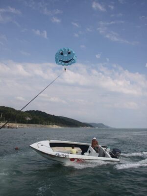 Товар категории