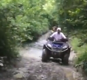 Товар категории