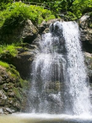 Товар категории