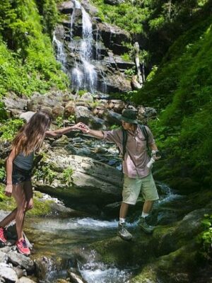 Товар категории