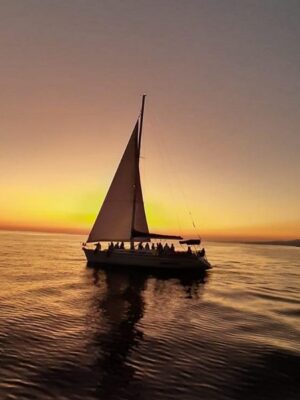 Товар категории