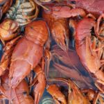 Раки крупные Раки крупные