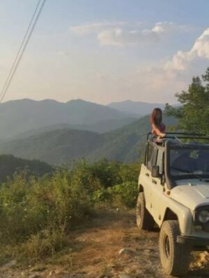 Товар категории