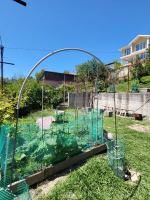 Товар категории