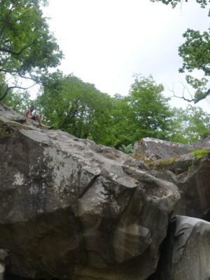 Товар категории