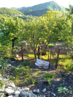 Товар категории