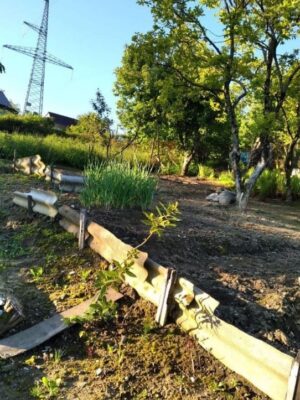 Товар категории