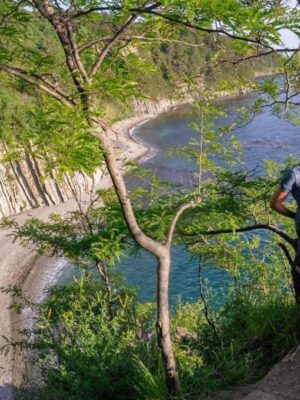 Товар категории