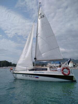 Товар категории