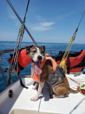 Товар категории