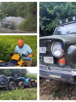 Товар категории