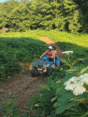 Товар категории