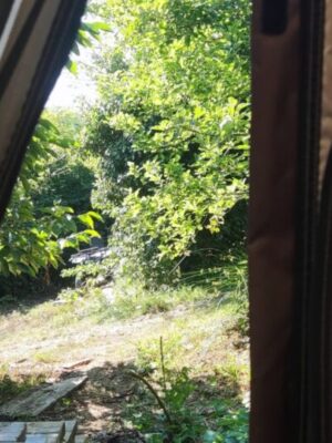 Товар категории