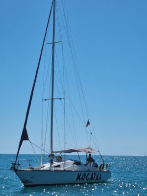 Товар категории