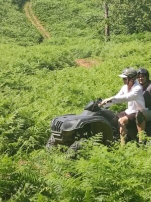 Товар категории