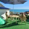 Двух местные номера с видом на море