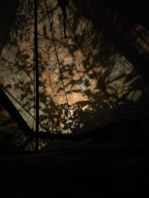 Товар категории