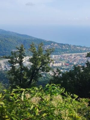 Товар категории