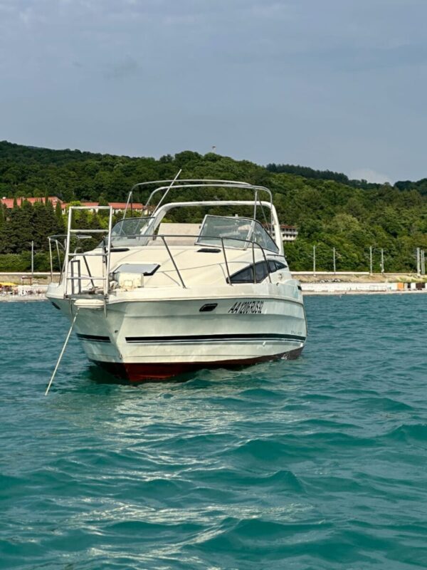 Прогулочный катер Bayliner