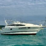 Прогулочный катер Bayliner