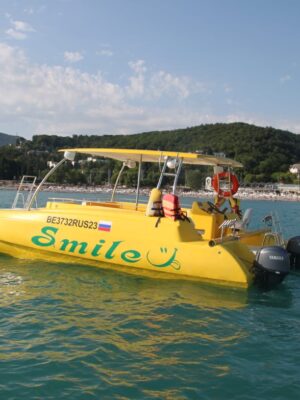 Скоростной моторный катамаран Смайл