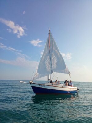 Товар категории