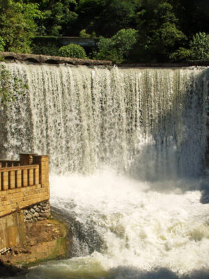 Товар категории